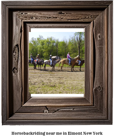 horseback riding near me in Elmont, New York